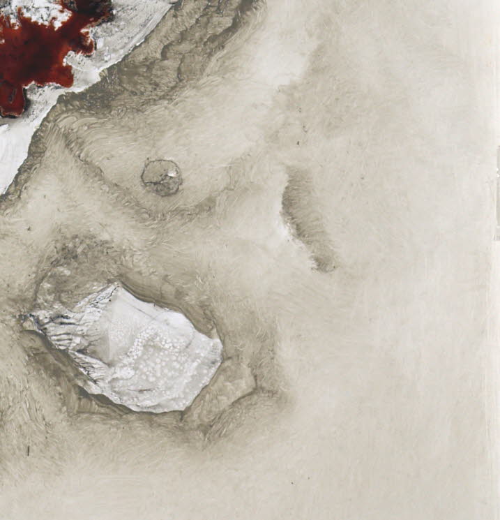 YuccaL 0412, oil on paper, -- x -- (cm)