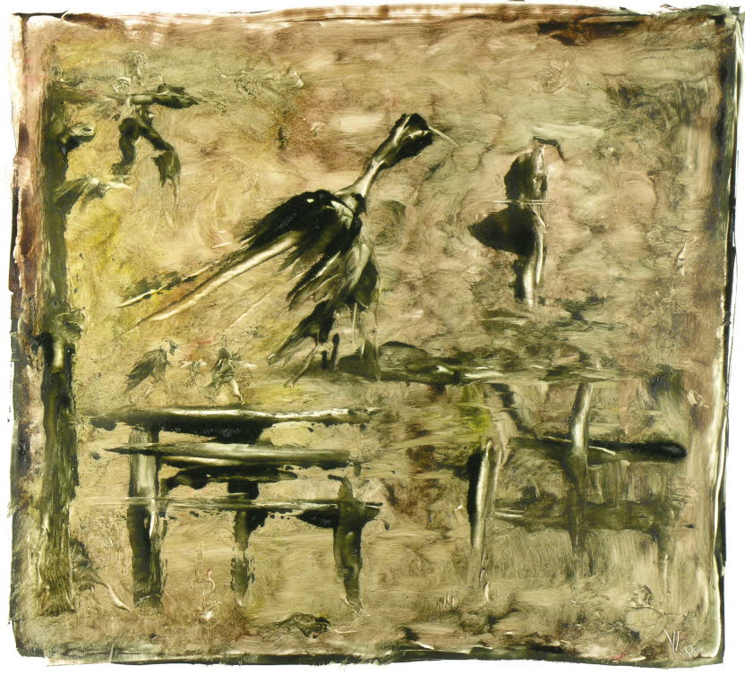 YuccaL 0165, Oil on paper, 51x54 / 70x70 (cm) (Private Collection)