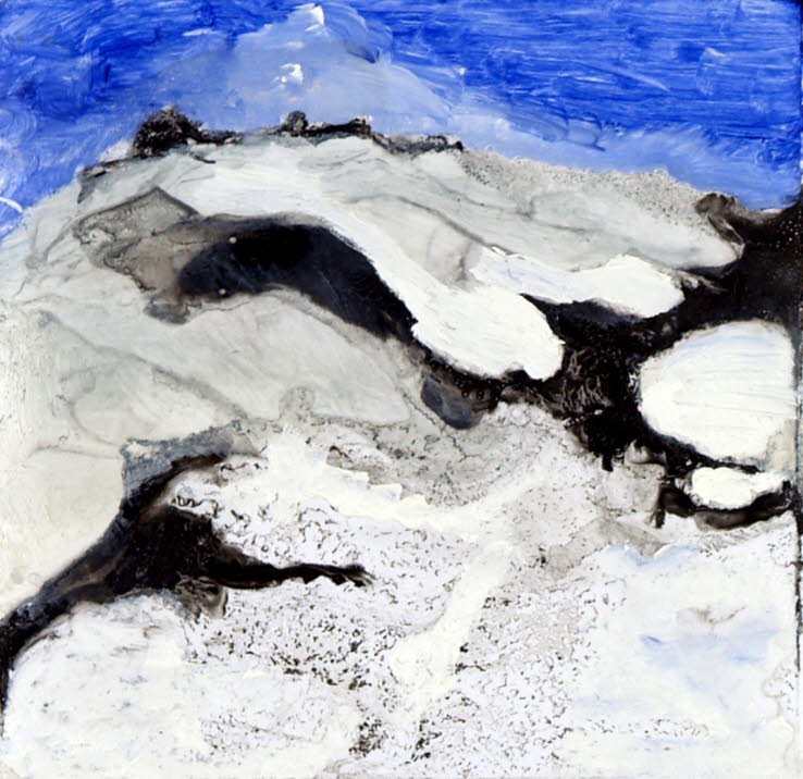 YuccaL 0278, oil on paper, -- x -- (cm)